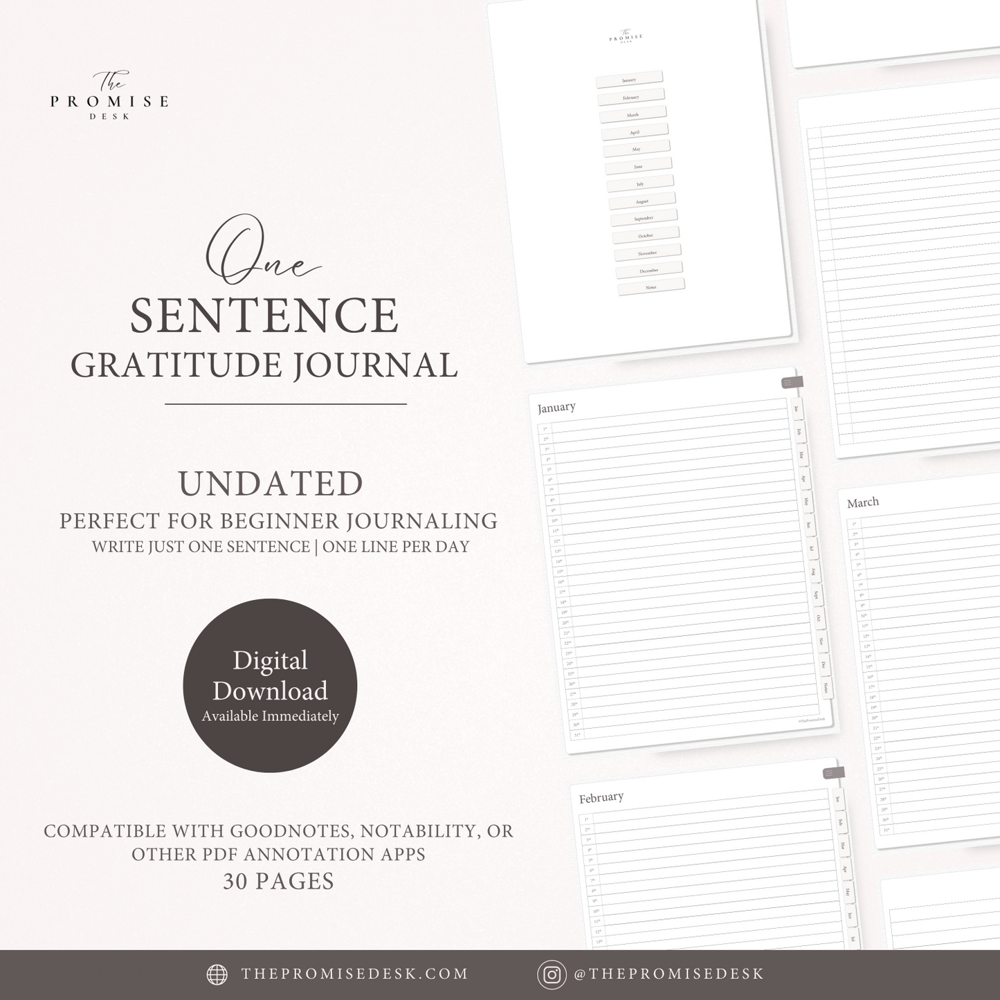 Digital One Sentence Gratitude Journal